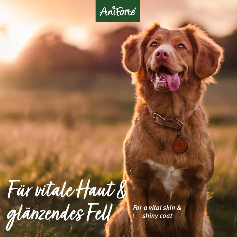 AniForte Fellharmonie Sensitive Dog Shampoo with Aloe Vera 200ml - For easy-to-comb fur and vital skin, care shampoo for sensitive dogs, free of dyes and perfume - PawsPlanet Australia