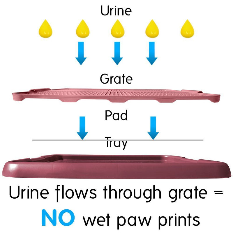 [Australia] - Any Pet Indoor Dog Training Toilet Hot Pink 