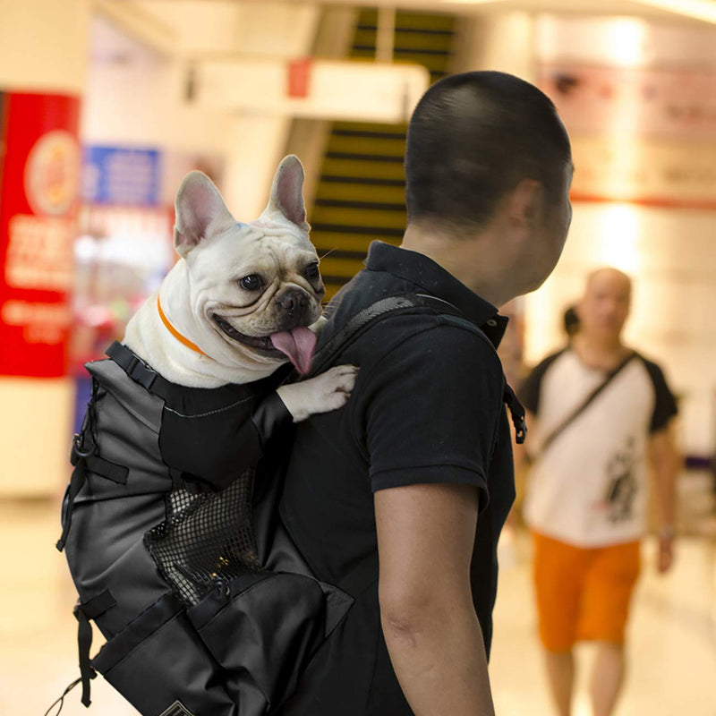 Woolala Light Weight Pet Carrier Backpack for Small and Medium Dogs, Veterinarian Approved Safe Bag for Travel - Easy Take Space Saving - Black S - PawsPlanet Australia
