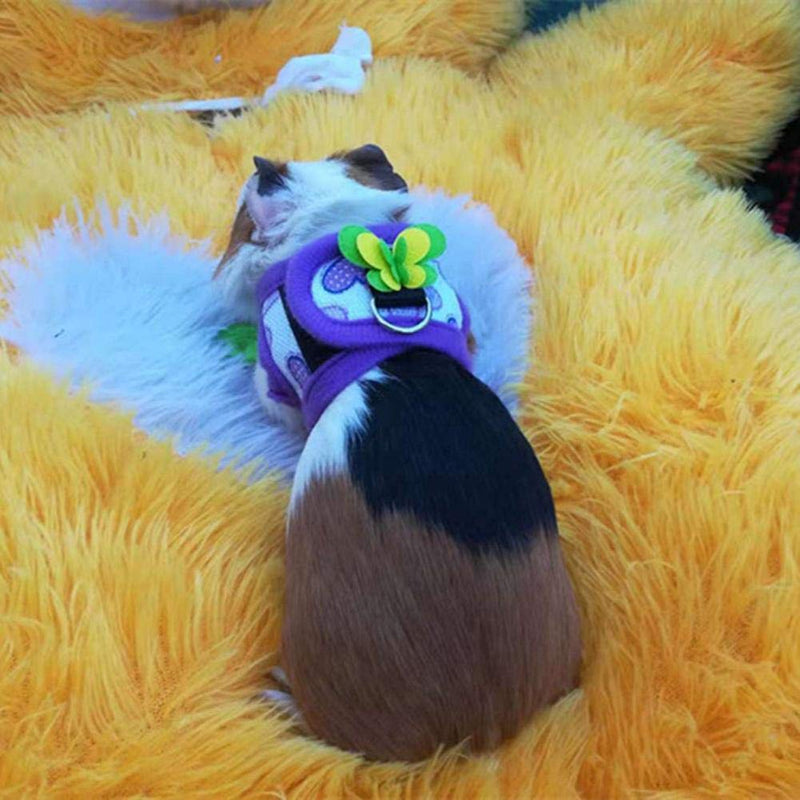 Pack of 2 Chinchilla Harness and Leash Small Animals Guinea Pig Walking Harness Vest No Pull Soft Comfort Vest Harness for Hamster Squirrel Ferret and Similar Small Pets (S) S - PawsPlanet Australia