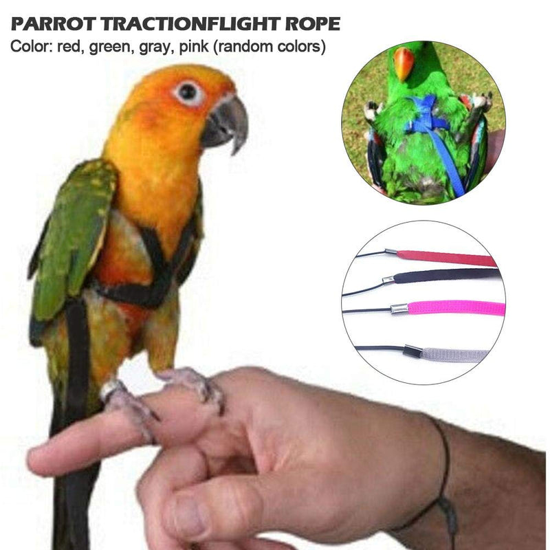 Yestter Elegant Adjustable Anti-Bite Harness and Lead for Pet Birds, Parrots, African Grey, Cockatoos, Yellow Ring Neck, Budgie, Cockatiel XS - PawsPlanet Australia