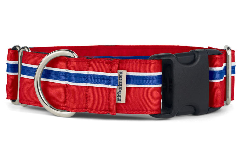 [Australia] - If It Barks - 1.5" Martingale Collar for Dogs - Adjustable - Nylon - Strong and Comfy - Ideal for Training - Made in USA Medium w/Buckle Patriotic 