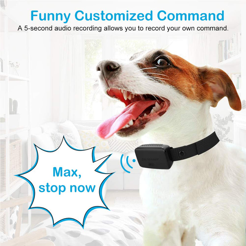 [Australia] - Petoffers B1Pro Dog Bark Collar with Phone & Watch APP Control, Smart Barking Collar with Adjustable Sensitivity, Customize Sound, Barking Records, Progressive Mode, Fit for 6-150lbs Dogs (No Shock) 