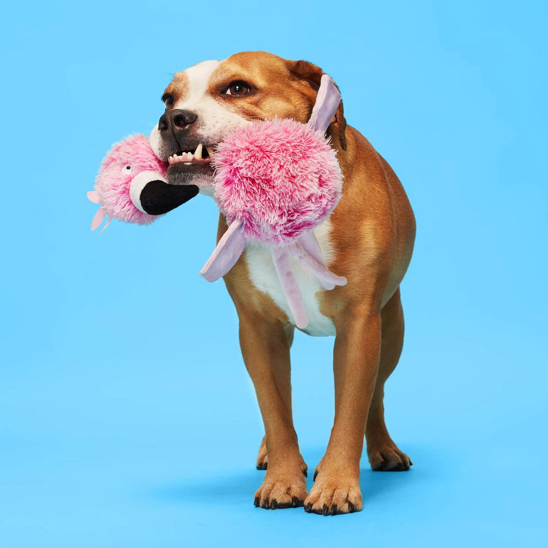 BarkBox Dog Rope Toys - Durable Tug Toys for Chewers, Puppy Teething, and Small, Medium, and Large Dogs | Bert of Paradise Medium/Large Dog - PawsPlanet Australia