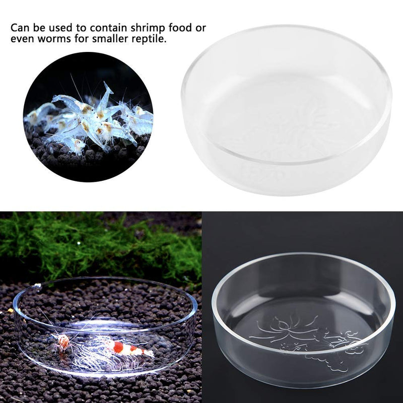 Aquarium Shrimp Feeding Dish Acrylic Shrimp Fish Food Feeder Bowl Durable Feeding Container for Aquarium Fish Tank - PawsPlanet Australia