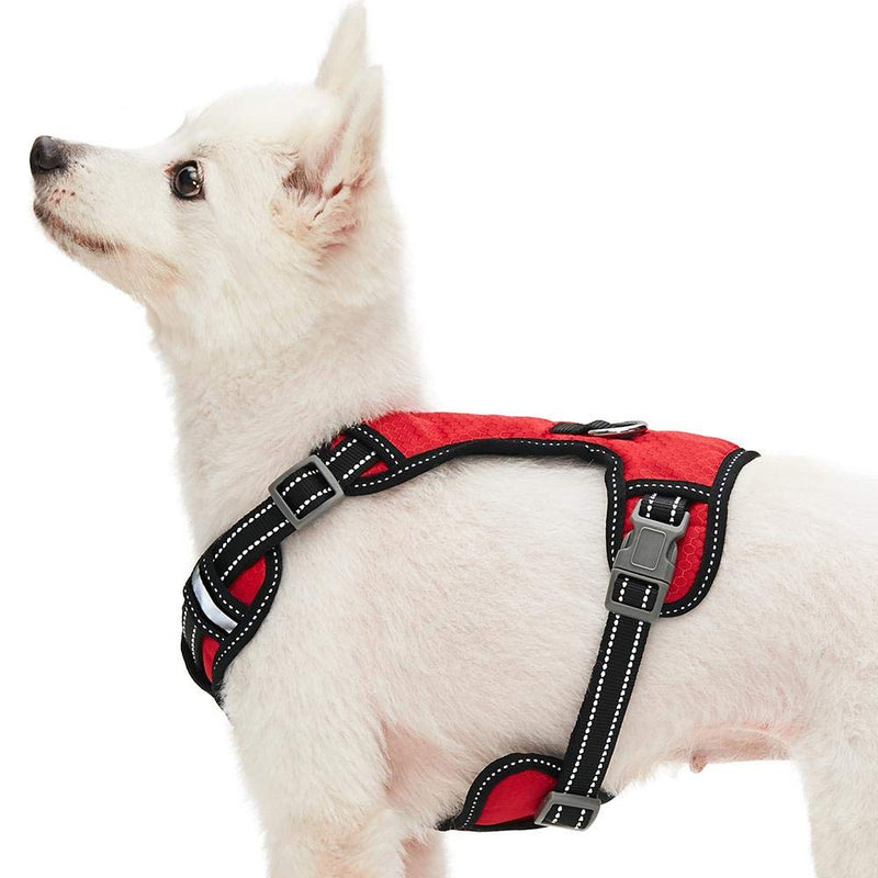 Umi. Essential Reflective Dog Harness Vest, Stunning Red, Large, Adjustable Harnesses for Dogs - PawsPlanet Australia