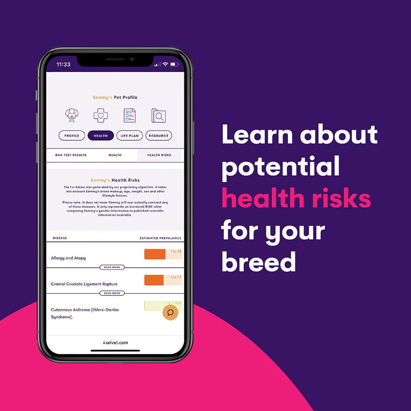 Orivet Genopet Dog DNA Test | Dog Breed Test Kit, Genetic Testing, Heritable Health Risks and Life Plan - PawsPlanet Australia