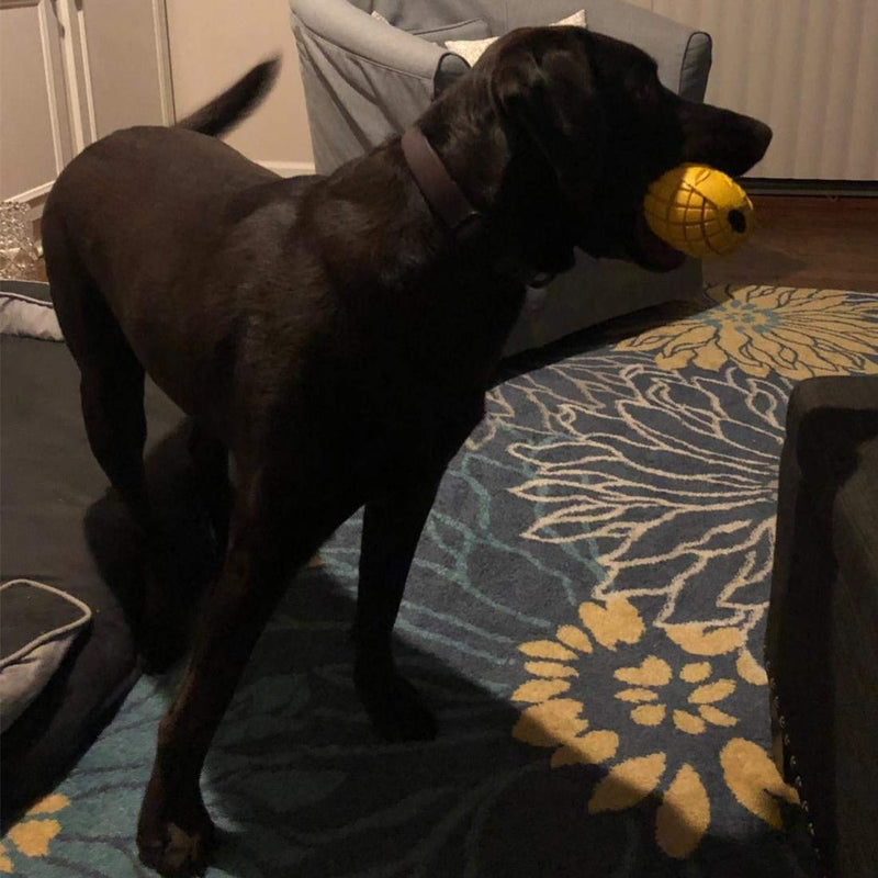 [Australia] - LPHSNR Dog Chew Toys for Aggressive Chewers Large Dogs, Indestructible Tough Dog Toys Interactive Durable with Mango Scent, Dental Clean Highly Bite Resistant XLarge 11oz 