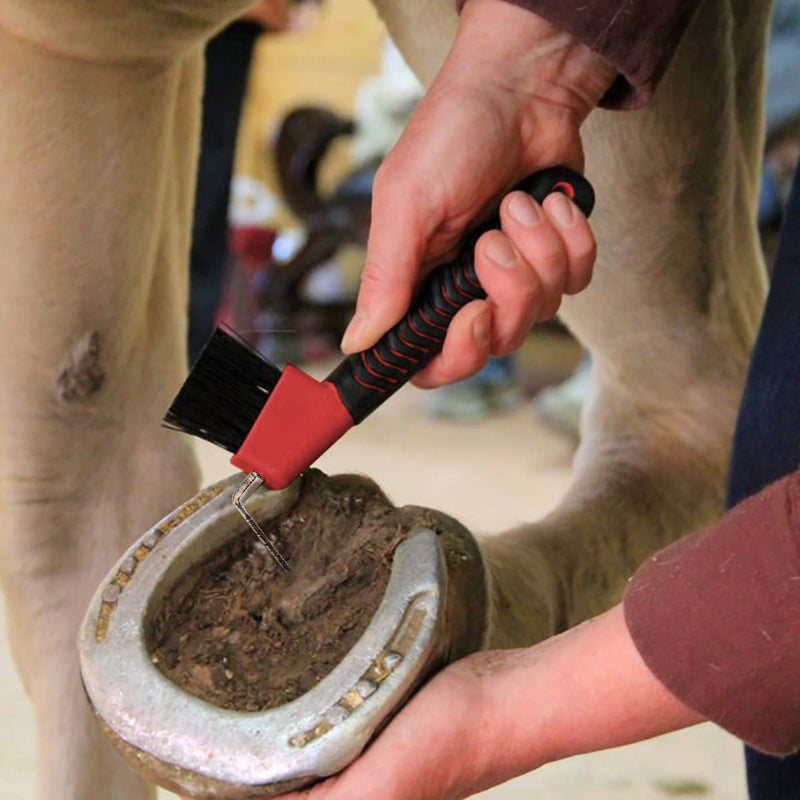 BOTH WINNERS 4Pcs Horse Hoof Pick Brushes, with Soft Touch Rubber Handle - PawsPlanet Australia