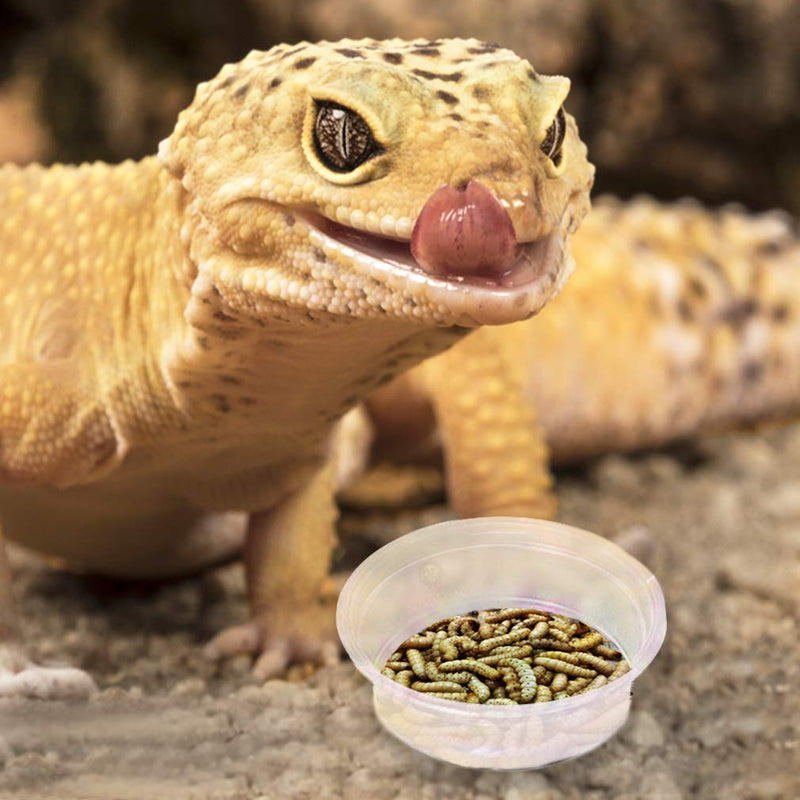 [Australia] - SunGrow Gecko Food and Water Containers, 0.5 Ounce Capacity, Plastic Transparent Cups, Reusable, Recyclable, Disposable, Works with All Types of Food, Fits Various Reptile Feeder, 100 Pieces 