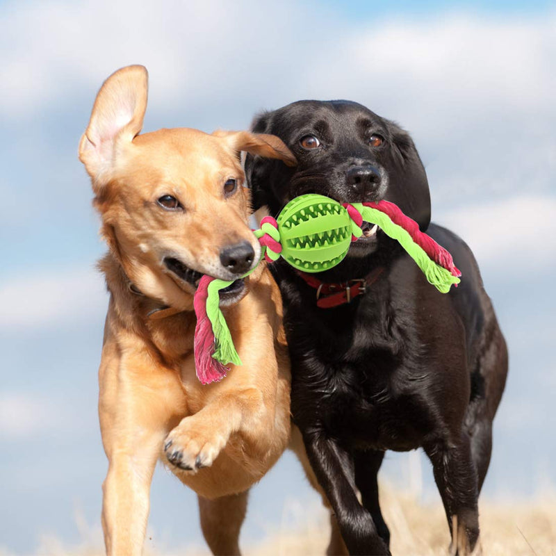 [Australia] - RUMILLA Dog Balls,Nontoxic Bite Resistant Toy Ball for Pet Dogs, Dog Pet Food Treat Feeder Chew Tooth Cleaning Ball Exercise Game IQ Training Ball Color 001 