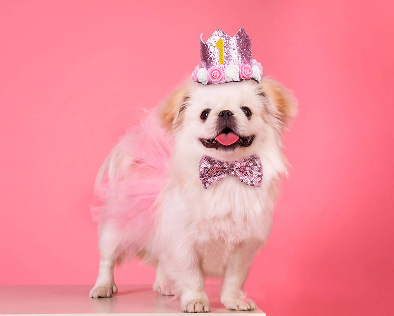 Legendog Dog Tutu Skirt, Dog Birthday Party Supplies - Dog Birthday Hat - Dog Bowtie, Cute Pink Dog Birthday Outfit Girl , Dog Dresses for Small Dogs - PawsPlanet Australia