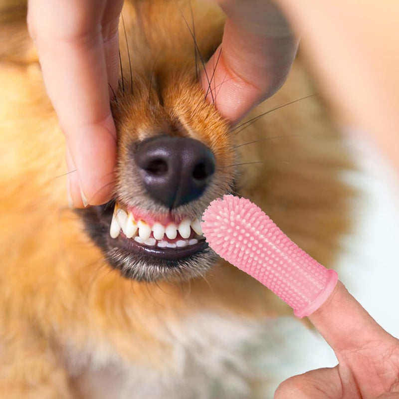 Pack of 8 Dog Toothbrushes, Silicone Dog Toothbrush, Finger Toothbrush, 360º Pets Teeth Cleaning Toothbrush for Dogs, Cats, Dental Care with Storage Box for Small, Medium and Large Dogs (4 Colors) - PawsPlanet Australia
