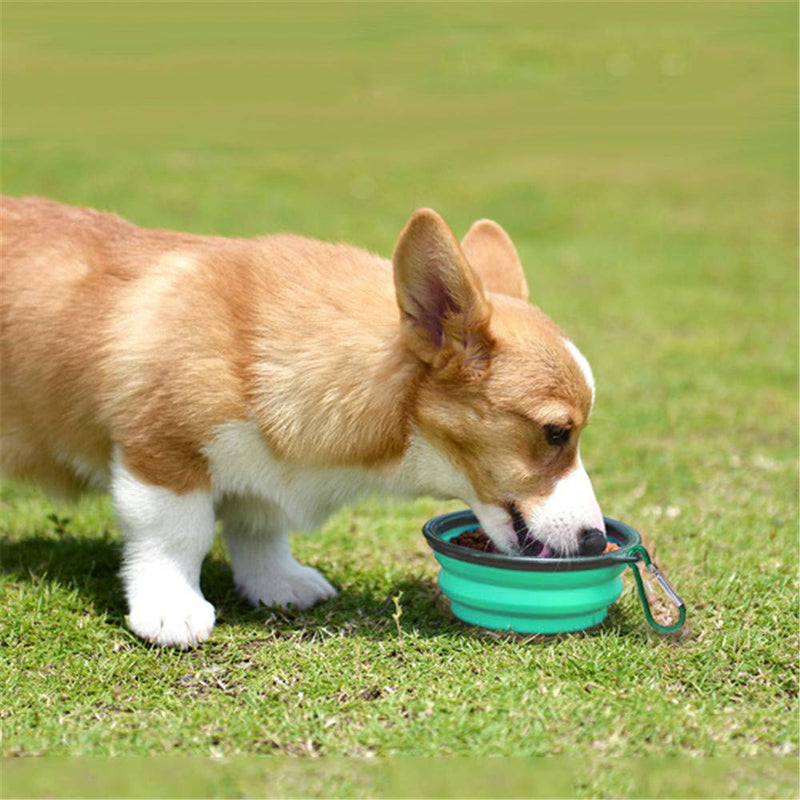 SLSON Collapsible Dog Bowl 2 Pack, Portable Silicone Pet Feeder, Foldable Expandable for Dog/Cat Food Water Feeding, Travel Bowl for Camping Light Blue+Light Green - PawsPlanet Australia