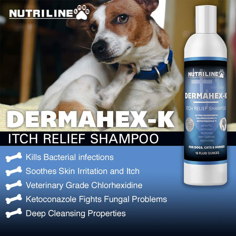 [Australia] - Nutriline Labs Antifungal & Antibacterial Chlorhexidine DermaHex-K Shampoo for Dogs and Cats, Itch Relief Shampoo, Paraben and Sulfate Free, Hypoallergenic, Made in The USA 