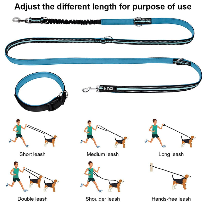 ETACCU Double Leads Free Hand Leads Training Leads with Retractable Leads 3M for Medium Dogs up to 50 kg, Large Dogs Robust Non-Slip Handle, Tangle Free, Reflective (Blue) L丨3M丨50kg丨Blue - PawsPlanet Australia