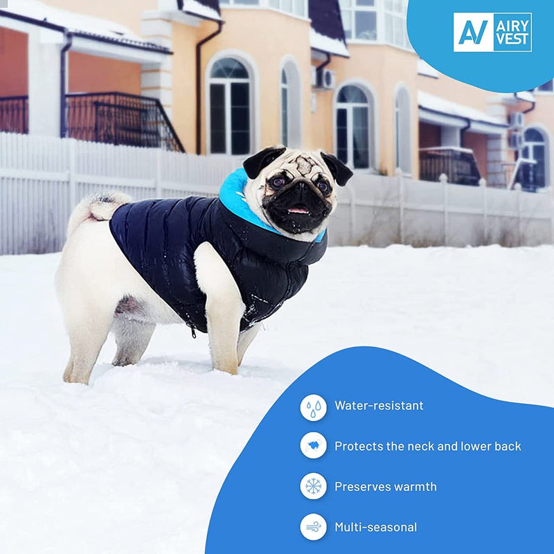 Lightweight Reversible Winter Dog Coat - Warm Dog Jacket - Water Resistant Windproof - Insulated Dog Jacket for Small, Medium & Large Dogs - Comfortable Dog Puffer Vest XS 30 Black Blue - PawsPlanet Australia