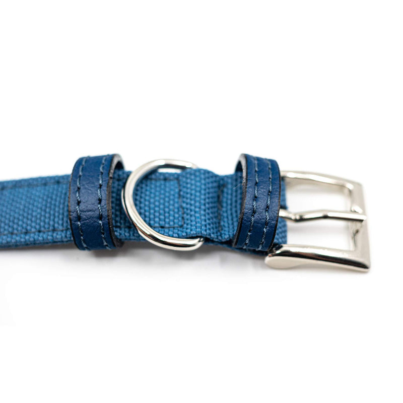 Project Blu Eco Friendly E-Leather Dog Collar, Sustainable and Recycled Pet Collar (Small, Monterey) Small - PawsPlanet Australia