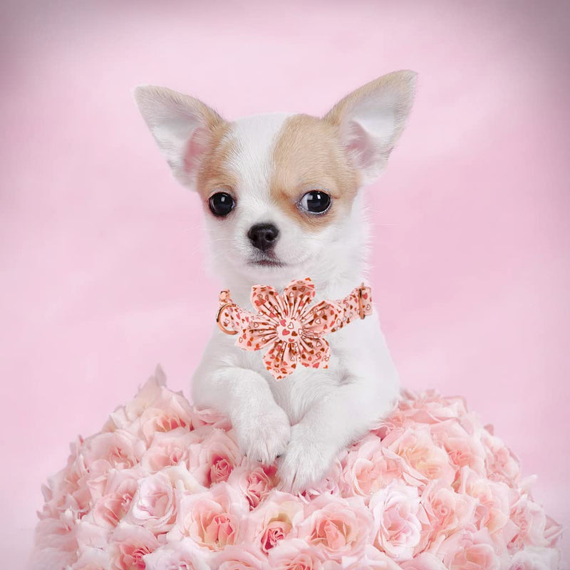 Elegant little tail Dog Collar, Cute Detachable Dog Collar with Flower, Gift Pet Collar Adjustable Dog Collar for Large Medium Small Dogs X-Small (Pack of 1) 1Pink Heart - PawsPlanet Australia