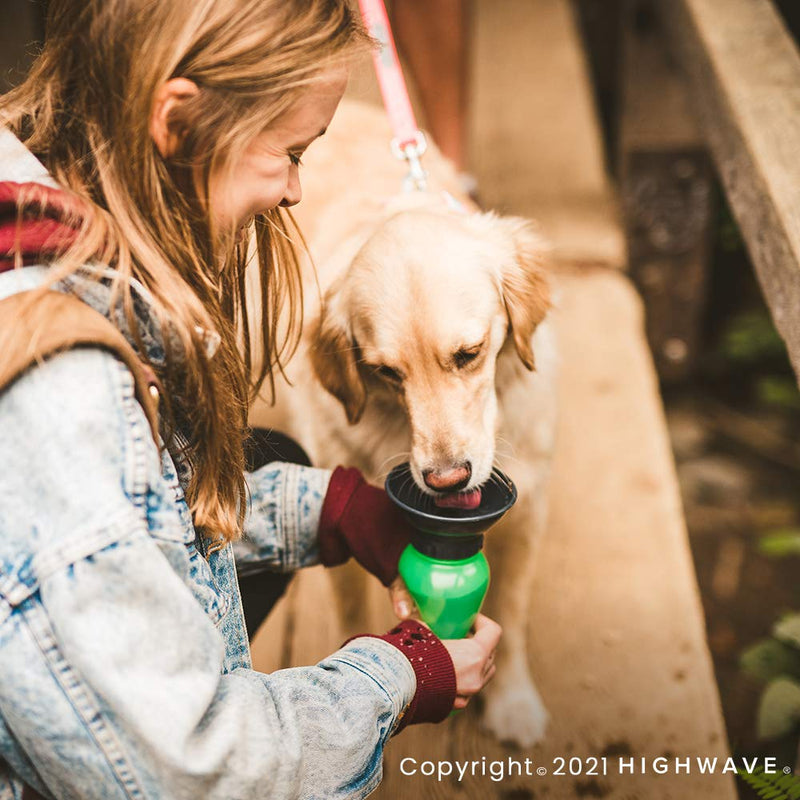 Highwave AutoDogMug Green - PawsPlanet Australia