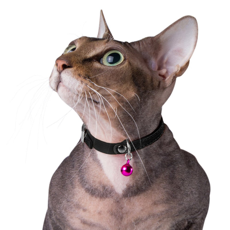 [Australia] - CollarDirect Leather Cat Collar, Cat Safety Collar with Elastic Strap, Kitten Collar for Cat with Bell Black Blue Red Orange Lime Green Neck Fit 9"-11" Navy Blue 