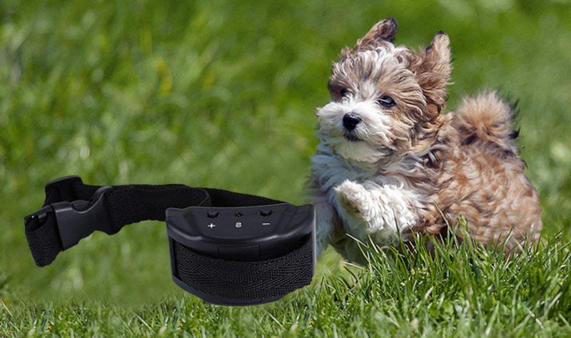 [Australia] - Langboss Anti-Barking Collar Automatic Voice Control for Pet Dogs Bark Collar, Electric Pet Dog No Shock Training Necklace 