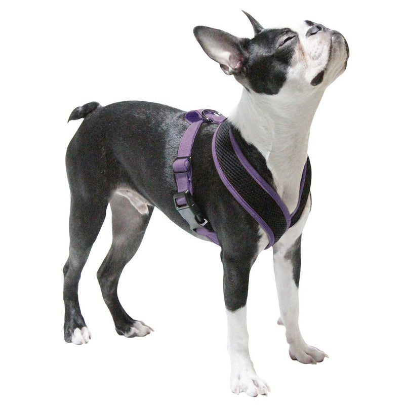 [Australia] - Gooby - Active X Head-in Harness, Choke Free Small Dog Harness with Synthetic Lambskin Soft Strap Large chest (14-20") Purple 