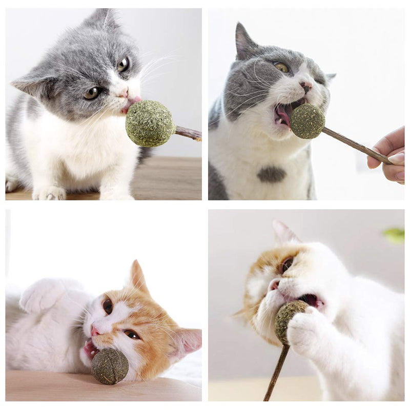 [Australia] - Rieibi Cat Chew Catnip Toys Natural Loofah and Catnip Lollipop Tooth Cleaning Toy for Cat Kitten Kitty 