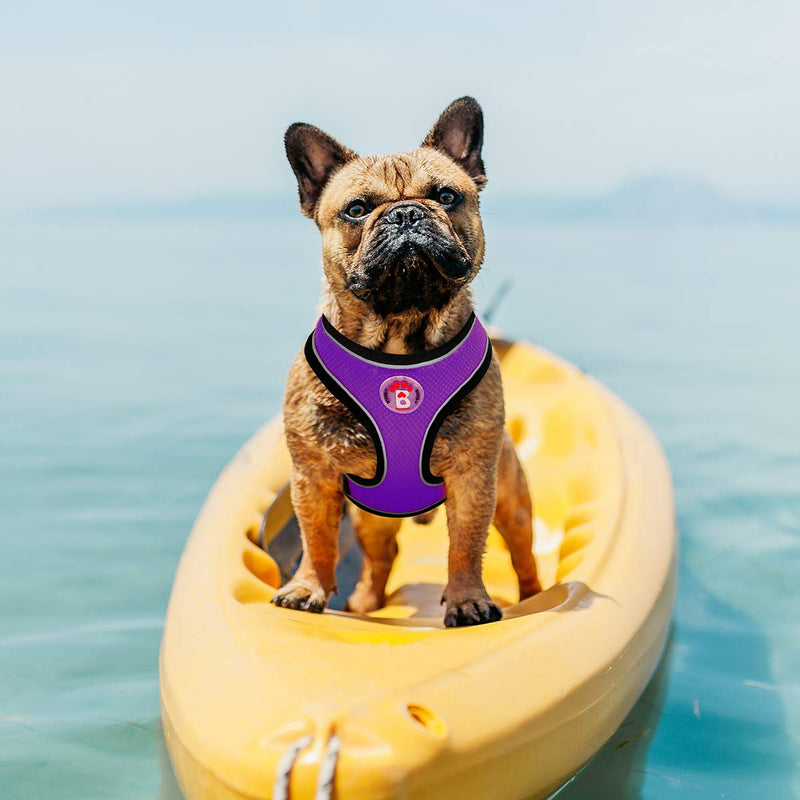 [Australia] - BARKBAY Reflective Breathable Soft Air Mesh No Pull Puppy Dog Vest Harness X-Small Purple 