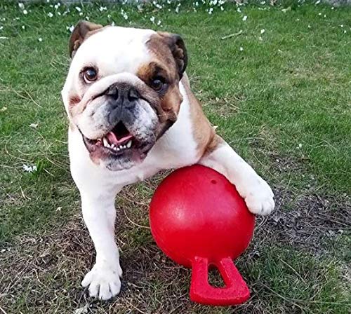 Jolly Pets Tug-n-Toss Dog Toy, 15 cm, Red 6 Inches/Medium - PawsPlanet Australia