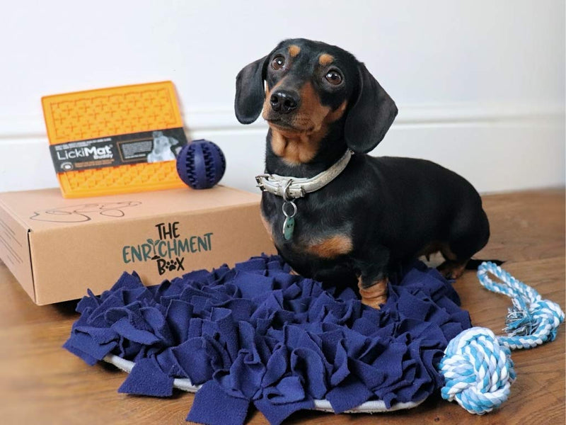 The Enrichment Box Snuffle Mat for Dogs Puppies, Interactive Dog Toys, Brain Games and Puzzle Feeder, Foraging Scent Work - PawsPlanet Australia