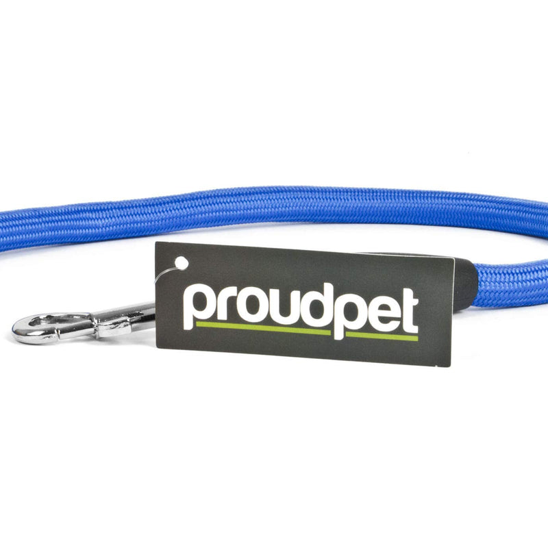 proudpet 1.5m Dog Lead with Collar Hook Pet Puppy Training Rope Leash (Blue) Blue - PawsPlanet Australia