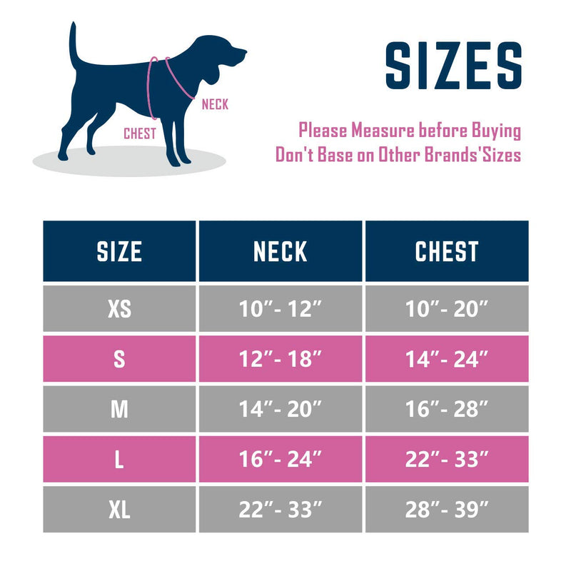 PHOEPET 2019 Upgraded No Pull Dog Harness, Unique Colors Reflective Adjustable Vest, with a Training Handle + 2 Metal Leash Hooks+ 3 Snap Buckles +4 Slide Buckles [Easy to Put on & Take Off] XS Pink - PawsPlanet Australia