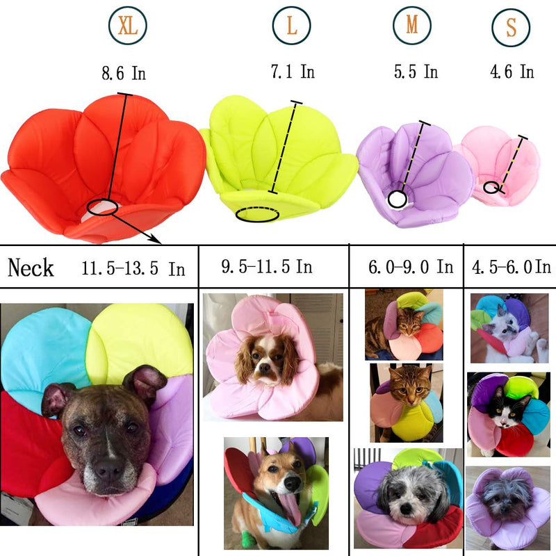 DELIFUR Dog Collar Pet E-Collar Elizabethan Dog Collars Recovery Pet Cone for Cats and Small Dogs Breathable Soft Edge and Easy to Clean (M) Medium Multicolored - PawsPlanet Australia