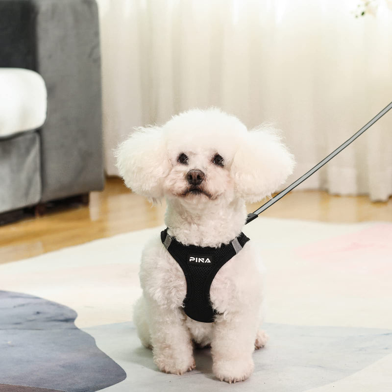 PINA Dog Harness for Small Dogs, Small Dog Harness and Leash Set, Cute Puppy Vest Harness, No Choke Breathable Step-in Air Dog Harness XS(Neck:10-11" ; Chest:12-13") Black - PawsPlanet Australia
