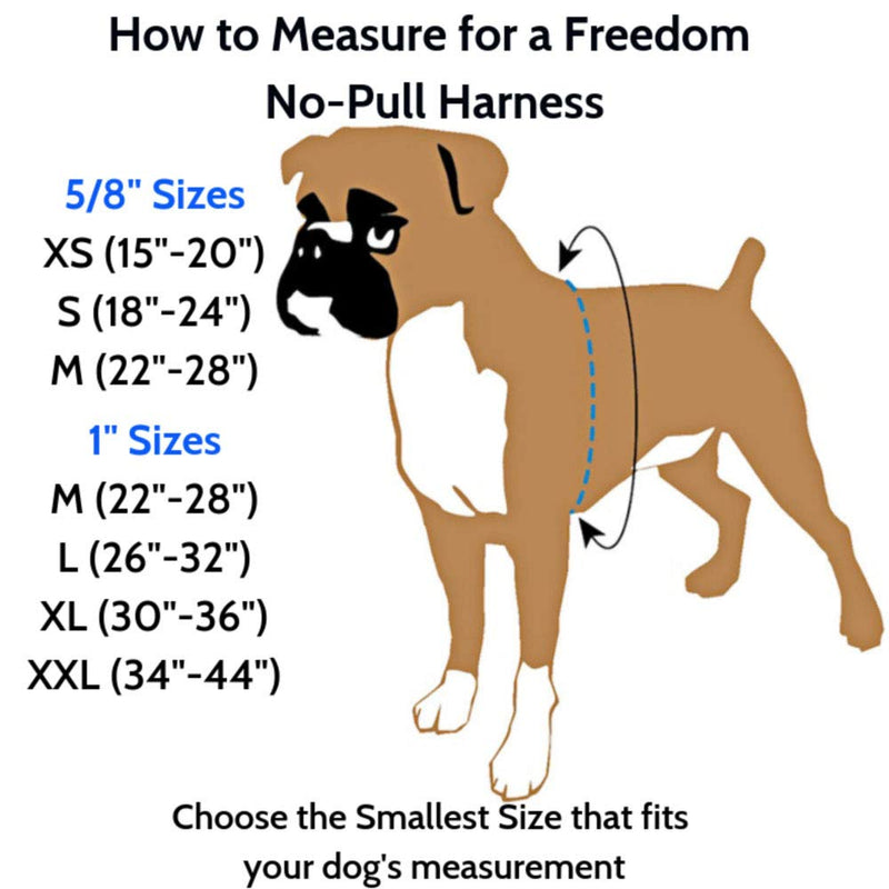 [Australia] - 2 Hounds Design Freedom No-Pull Dog Harness Training Package, Medium (1" Wide), Burgundy 