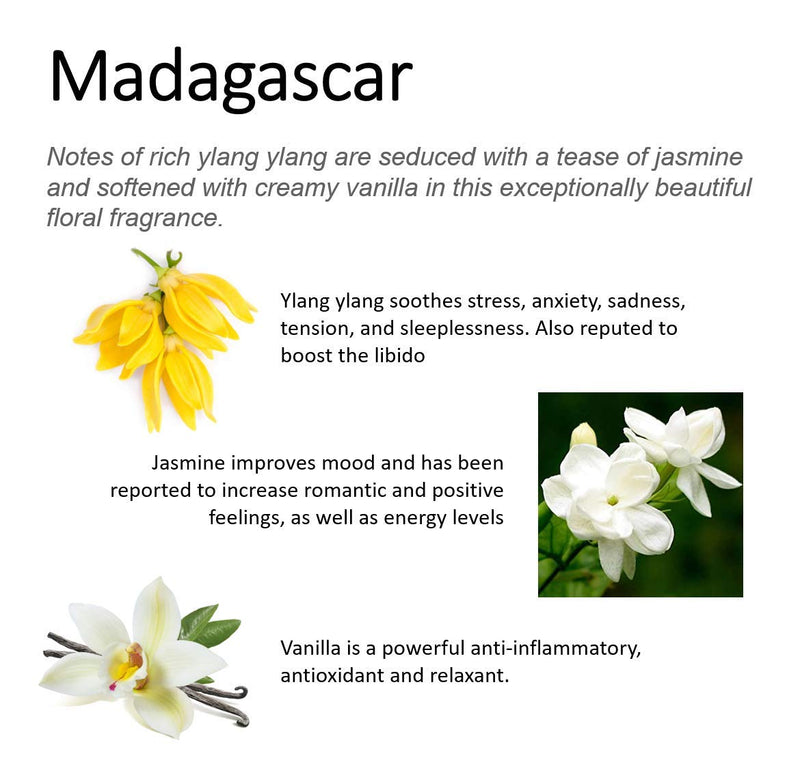 Madagascar Ylang Ylang, Jasmine, Vanilla Aromatherapy Candles | 100% Pure Essential Oils | Non-Toxic Long-Lasting Vegan Soy Candles | Hand Made in The USA Madagascar 11 Oz - PawsPlanet Australia