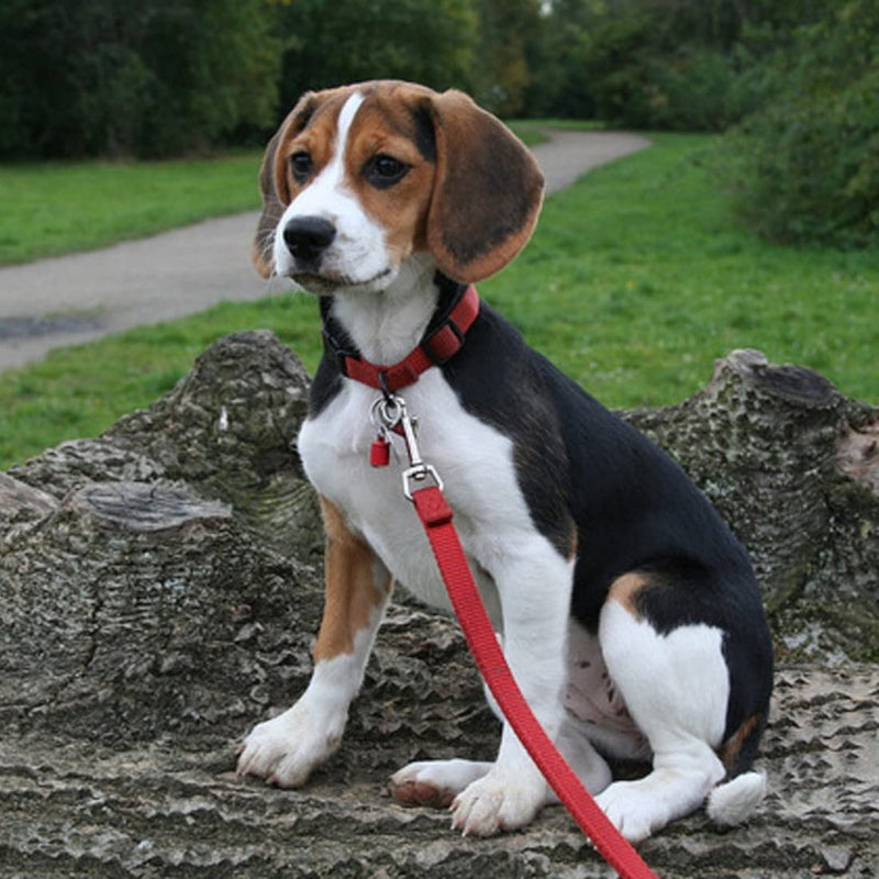 WEIESCIE Adjustable Double Pet Trainer Leash No Tangle Double Dog Double Distributor Leash Walking Trainer Leash for Two Dogs - PawsPlanet Australia