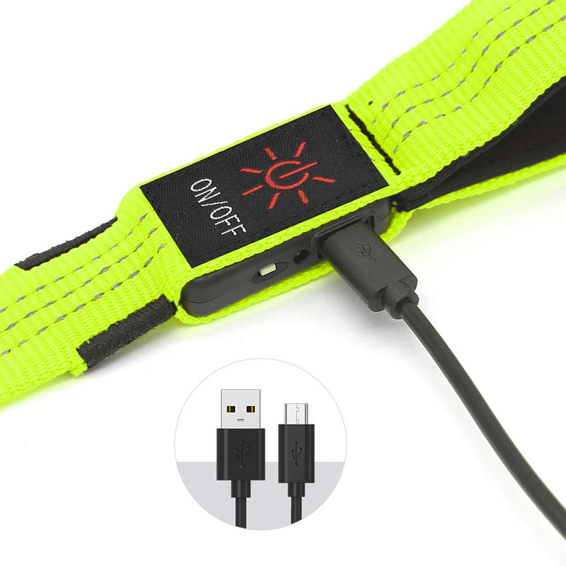 [Australia] - VIZPET LED Dog Leash - USB Light UP Rechargeable Nylon Dog Leash - 47.2 Inch with 3 Flash Modes and Metal Buckle - Keeps Your Dog Safe All The Time Neon Green 