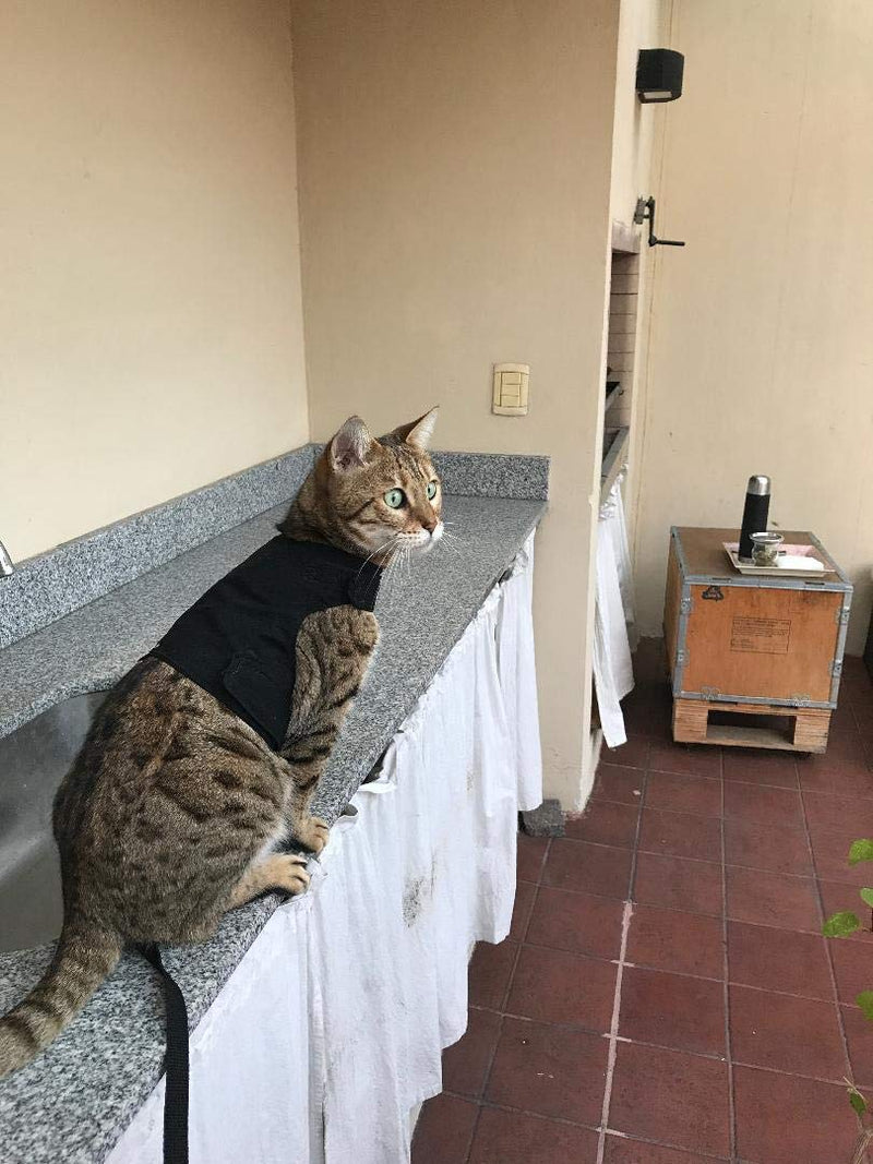 Mynwood Cat Jacket/Harness Black Adult Cat - PawsPlanet Australia