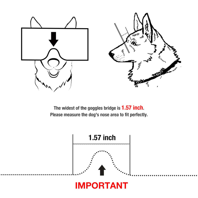 [Australia] - Namsan Dog Goggles - Large Breed Dog Sunglasses UV Prevent Clear Lens for Sensitive Dog Eyes Protection, Elastic Adjustable Straps 
