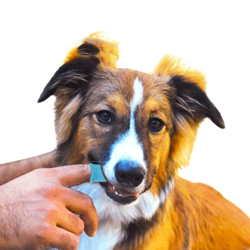 FENGYING Dog Toothbrush, Dog Toothbrush for Small Dogs, Dog Toothbrush, Finger Toothbrush Dog, Dog Toothbrush Fingerling, Dog Teeth Cleaning, Fingerling Dog Dental Care, Silicone, 360°, Pack of 2 (Blue) - PawsPlanet Australia