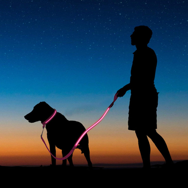 Frank & Sonny Battery Operated LED Dog Lead/Leash (Small, Red) Small - PawsPlanet Australia