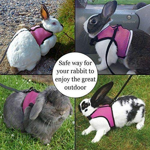 UEETEK Soft Harness with Lead for Rabbits Bunny Elastic Length 47 inch - Size L( Pink ) - PawsPlanet Australia