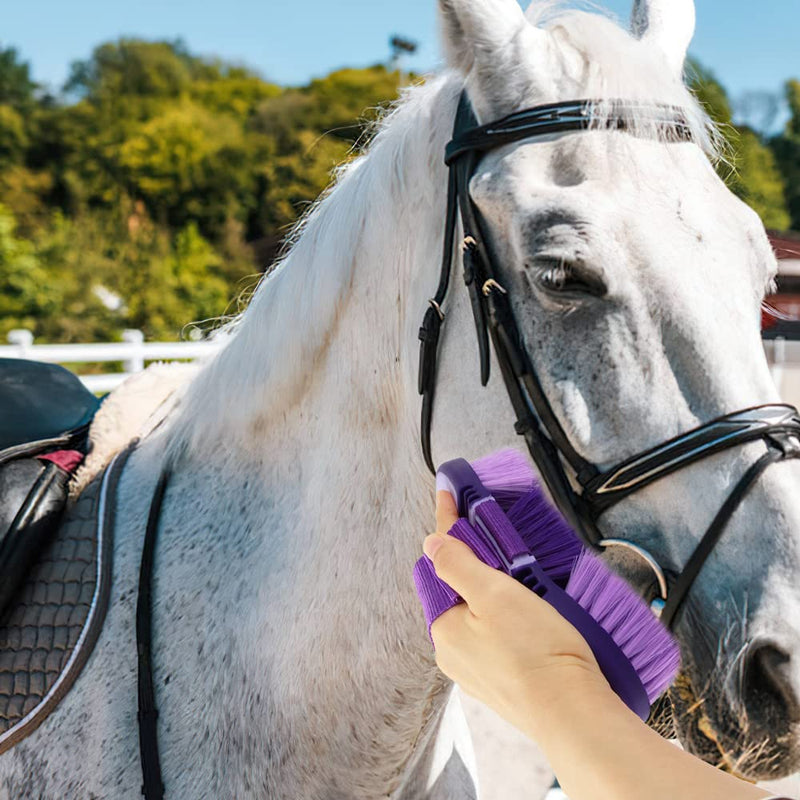 Hillylolly horse brush, horse root brush, long bristles, soft horse brush, horse magic brush, horse cleaning brush, horse root brush for children and horse lovers, purple - PawsPlanet Australia