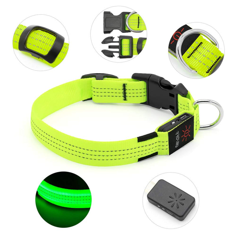 [Australia] - BSEEN LED Dog Collar, LED Dog Leash, USB Rechargeable Glowing Safety Dog Collar Light Up Adjustable Nylon Webbing Reflective Pet Dog Collar Leash for Dog & Cat Large Neon Green 