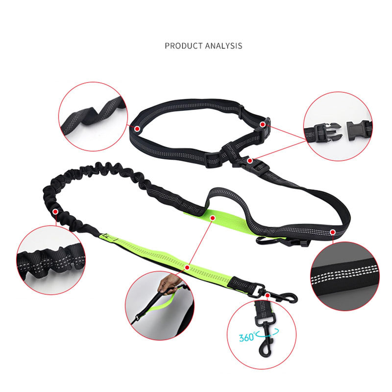 Ruiqas Hands Free Dog Leash Multifunctional Adjustable Waist Strap Bungee Leash Reflective Leash for Small Large Dogs Outdoor Walking Jogging - PawsPlanet Australia