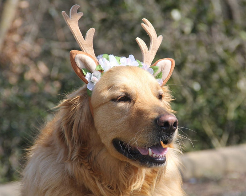 Hillento Dog Elk Antler Reindeer Hat Cap Dog Cat Pet with Flowers Christmas Reindeer Antlers Ears Wearable for Small/Medium/Large Dogs, M M(for medium dog) Brown - PawsPlanet Australia