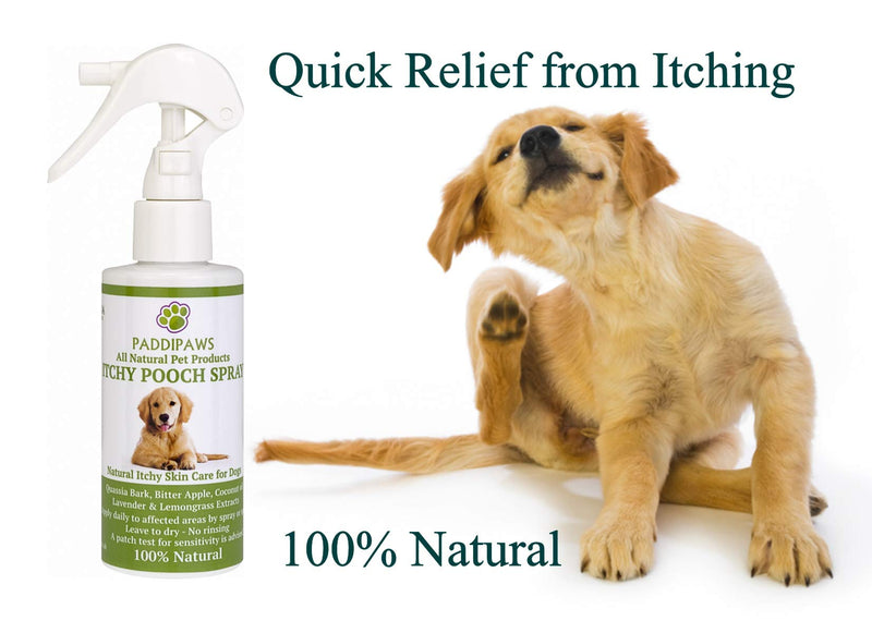 PADDIPAWS 100% Natural Itchy Dog Spray - Relieves Itching and Discomfort caused by Grass and Pollen Allergies - Soothing and Non Sting - Safe Natural Ingredients - Non Toxic and Paraben Free 100ml - PawsPlanet Australia