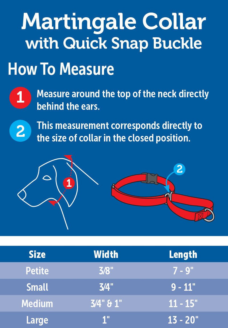 PetSafe Martingale Dog Collar with Quick Snap Buckle Large (1" Width) Black - PawsPlanet Australia